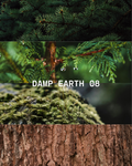 Damp Earth 08