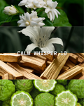 Calm Whisper 10