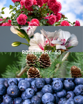 ROSÉBERRY 53