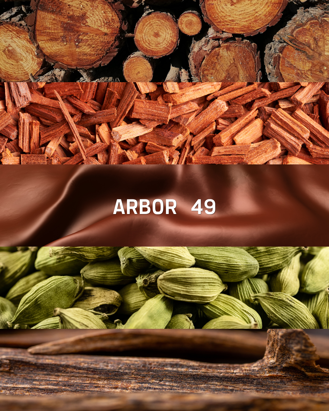 ARBOR 49
