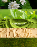 Home Fragrance (MATCHA 37)