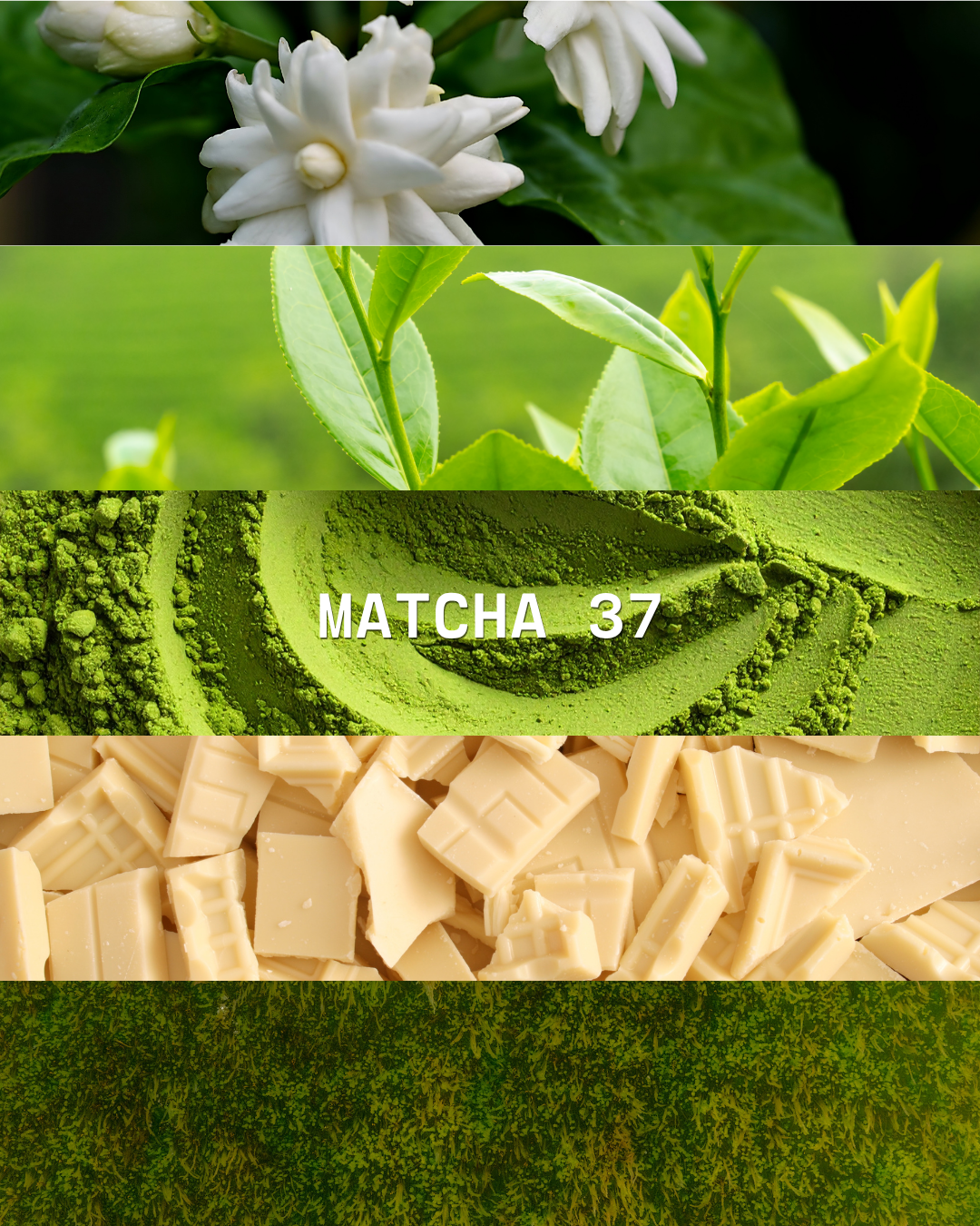 Home Fragrance (MATCHA 37)