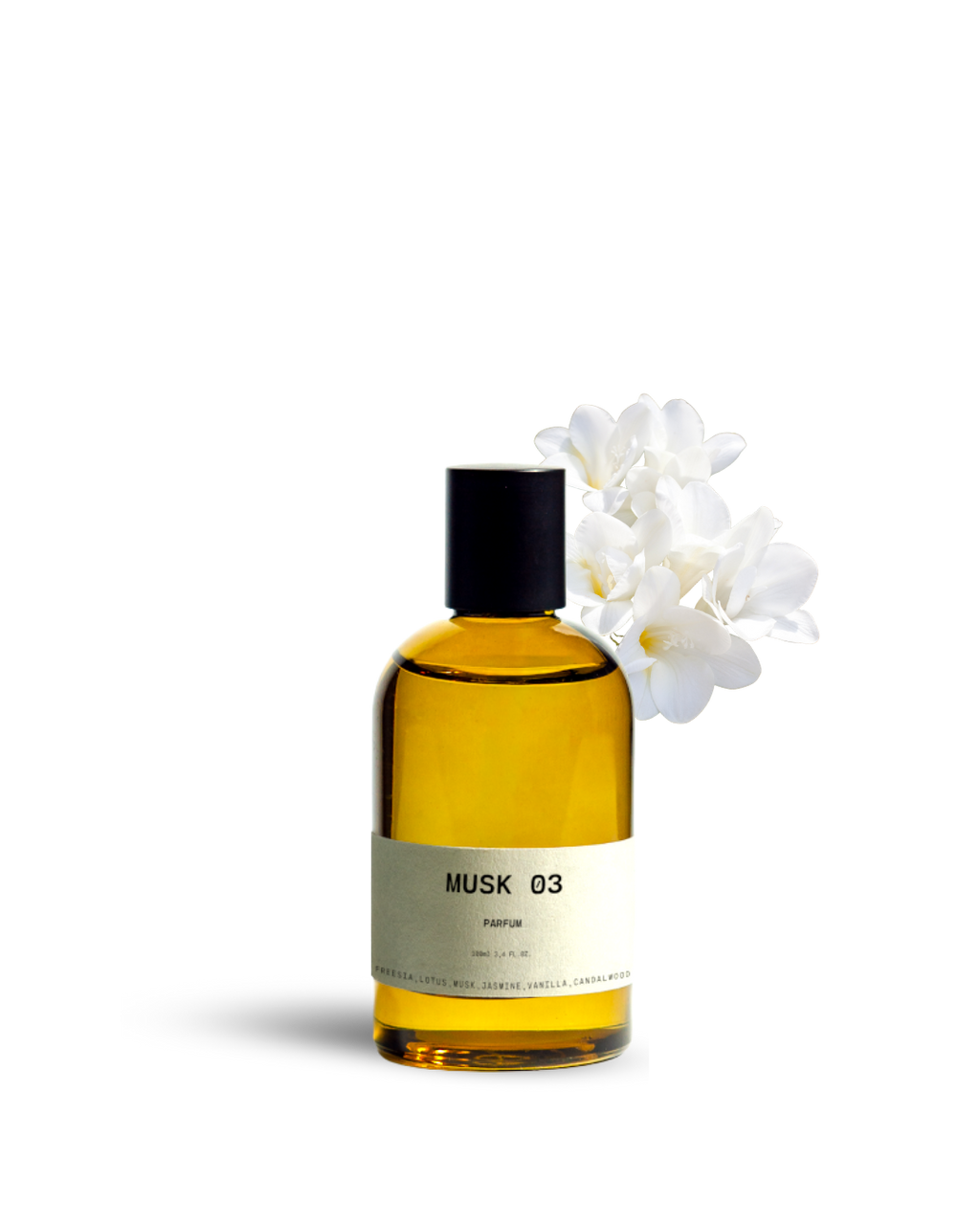 MUSK 03
