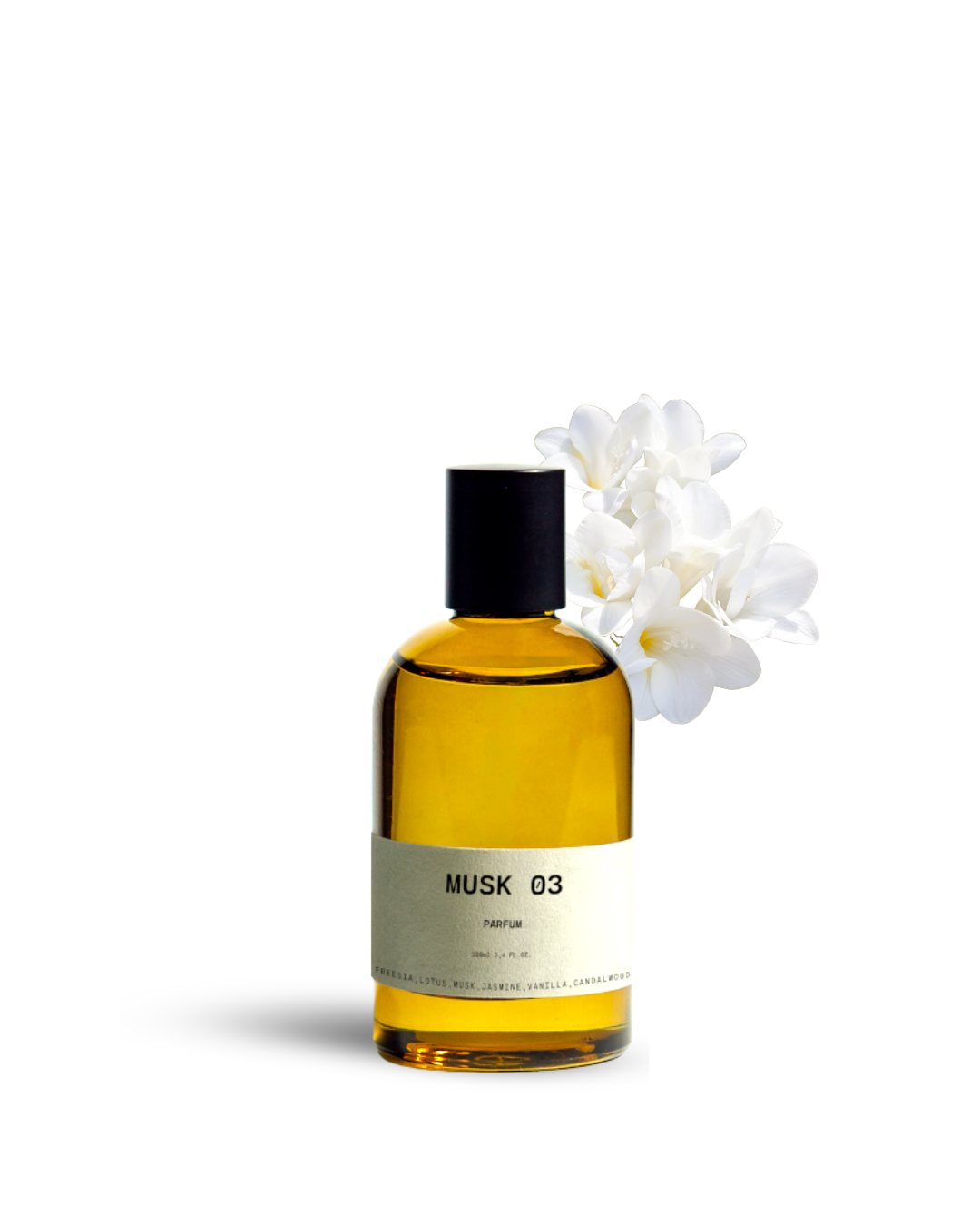 MUSK 03
